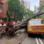copy-of-db-temp-cover-marathi-2026-07-29t155641502_1785320873